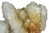 Sparkling Cactus Quartz Crystal Cluster - South Africa #303469-1